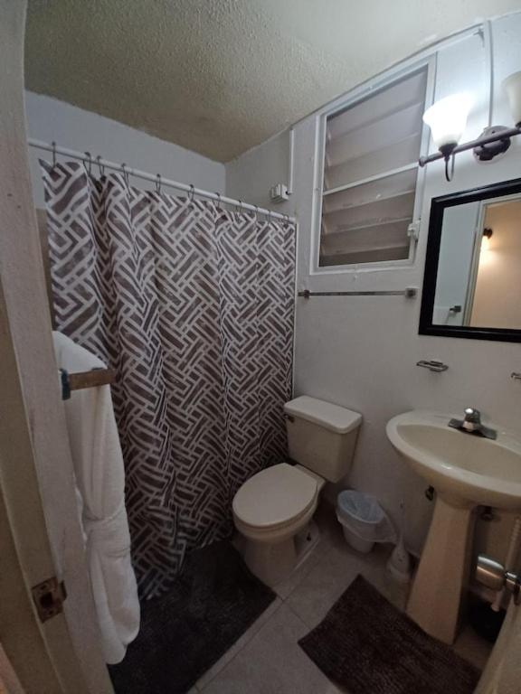 Family House Rain Forest And Beaches Pet Friendly ริโอกรันเด ภายนอก รูปภาพ
